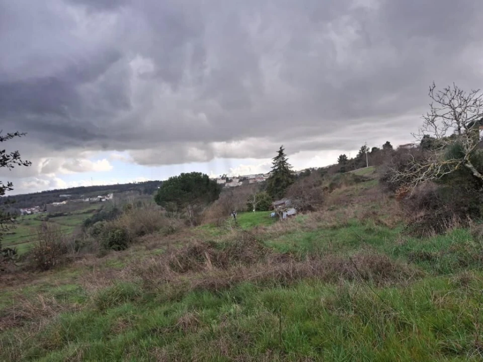 Quinta T0 para Venda em Trancoso (São Pedro e Santa Maria) e Souto Maior Foto 11