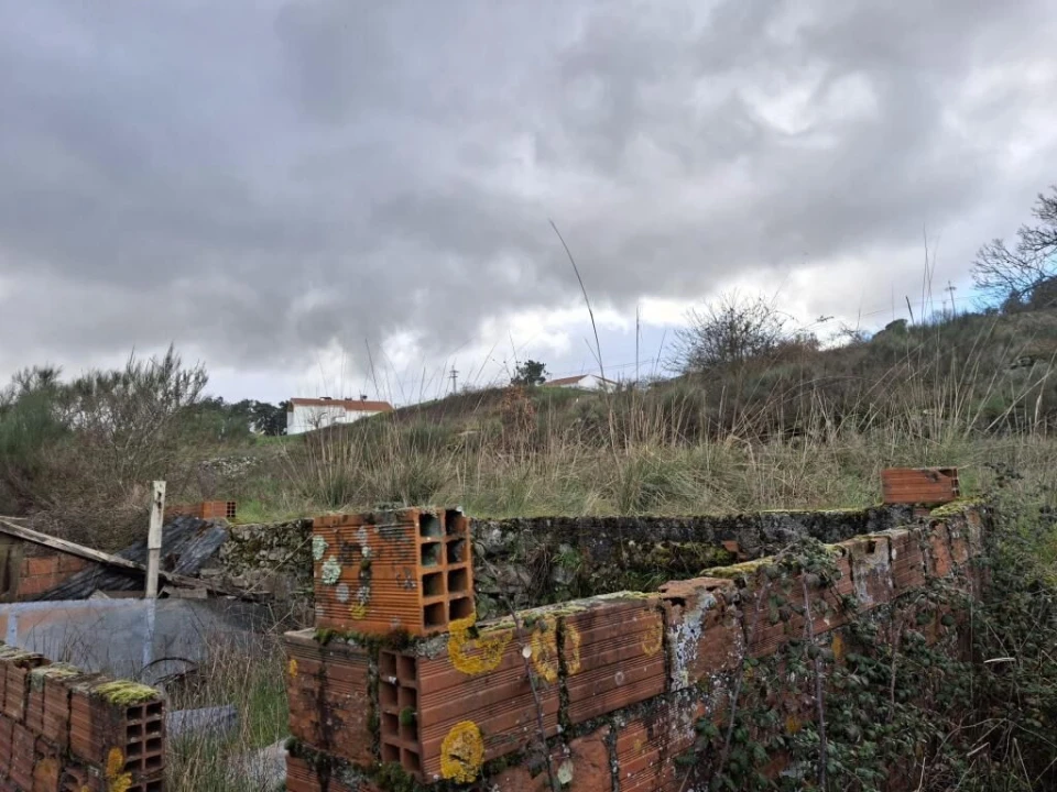 Quinta T0 para Venda em Trancoso (São Pedro e Santa Maria) e Souto Maior Foto 3