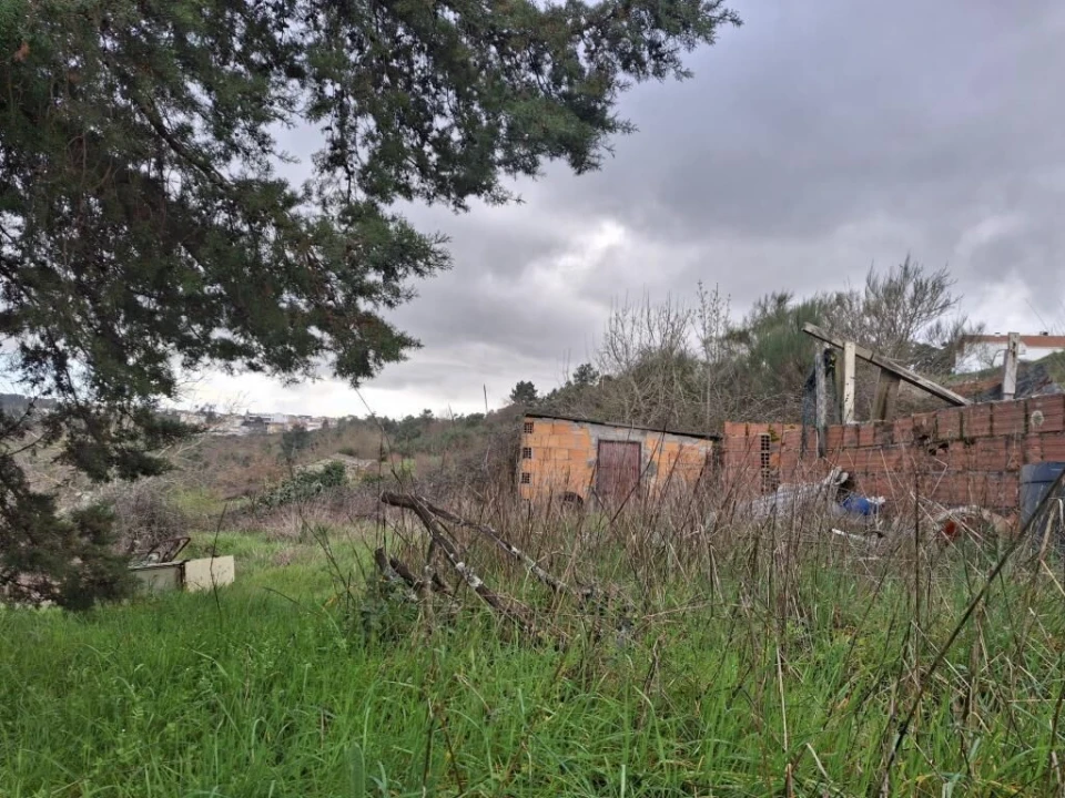 Quinta T0 para Venda em Trancoso (São Pedro e Santa Maria) e Souto Maior Foto 5