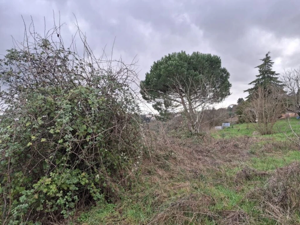 Quinta T0 para Venda em Trancoso (São Pedro e Santa Maria) e Souto Maior Foto 8