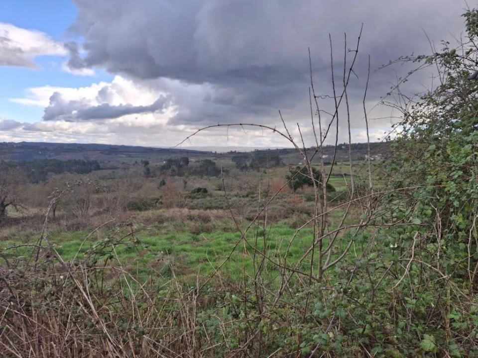 Quinta T0 para Venda em Trancoso (São Pedro e Santa Maria) e Souto Maior Foto 9
