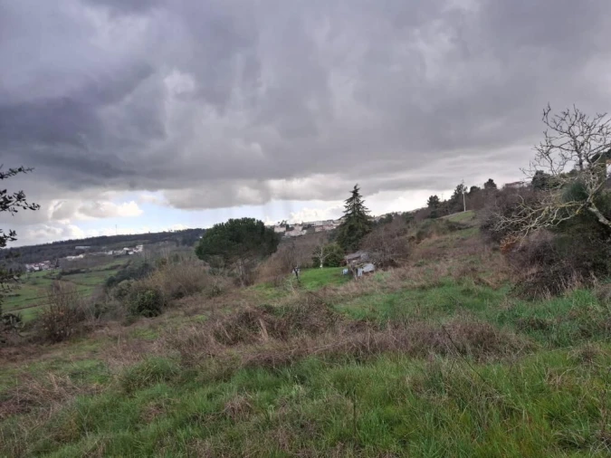 Quinta T0 para Venda em Trancoso (São Pedro e Santa Maria) e Souto Maior Foto 11
