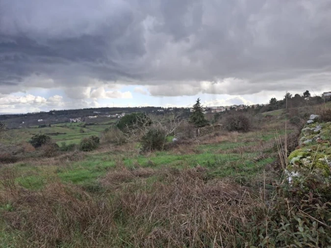 Quinta T0 para Venda em Trancoso (São Pedro e Santa Maria) e Souto Maior Foto 12