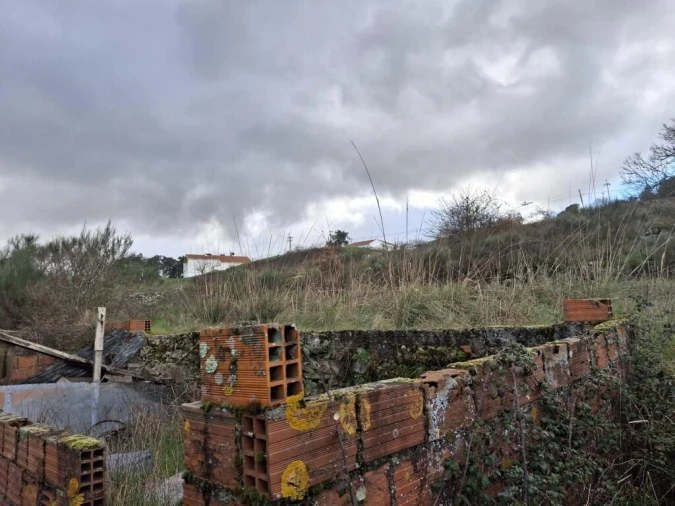 Quinta T0 para Venda em Trancoso (São Pedro e Santa Maria) e Souto Maior Foto 3