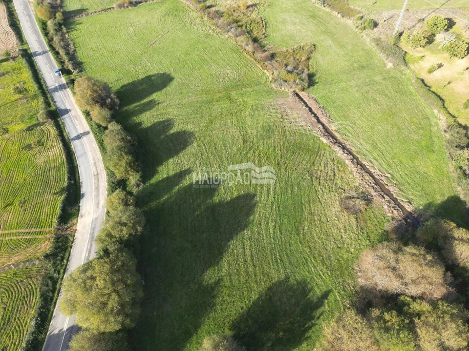 Terreno para Venda em Parada e Faílde Foto 1