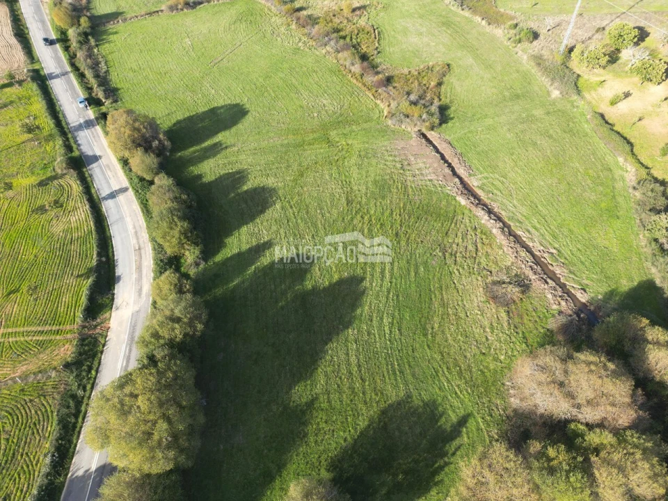 Terreno para Venda em Parada e Faílde Foto 3