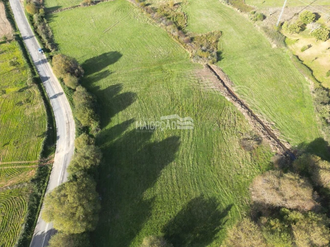 Terreno para Venda em Parada e Faílde