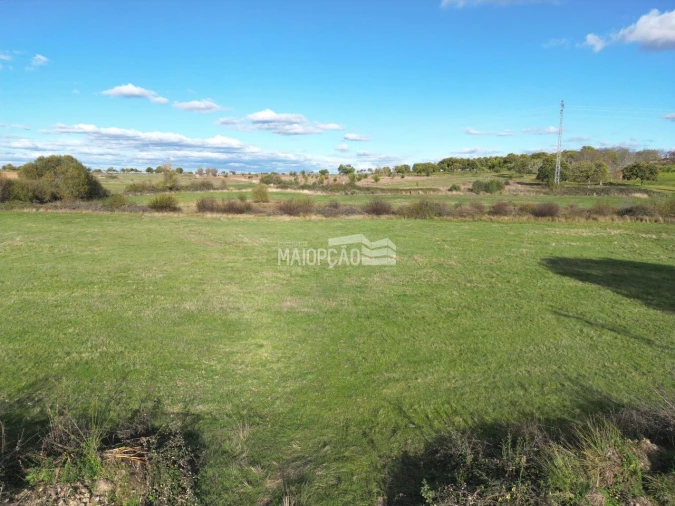 Terreno para Venda em Parada e Faílde Foto 2