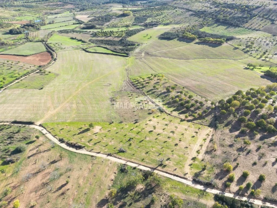 Terreno para Venda em Parada e Faílde Foto 2