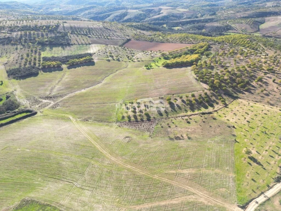 Terreno para Venda em Parada e Faílde Foto 3