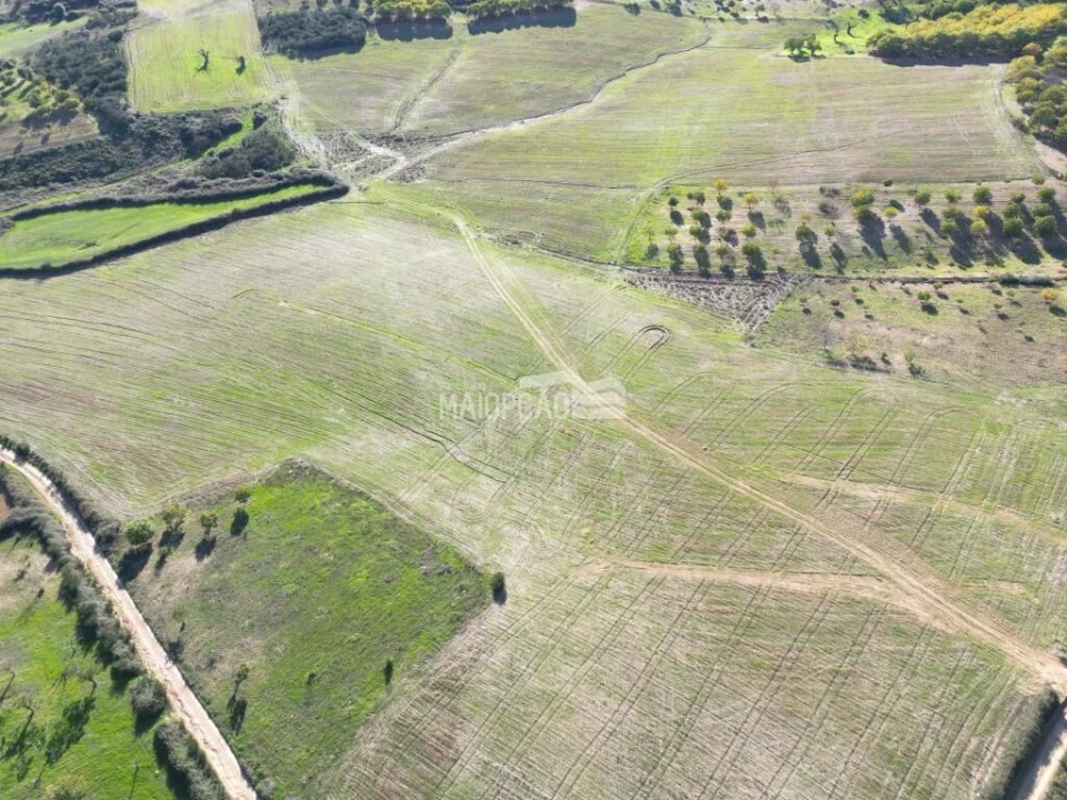 Terreno para Venda em Parada e Faílde Foto 8