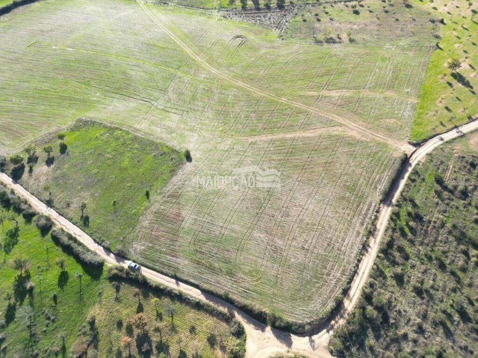 Terreno para Venda em Parada e Faílde Foto 9