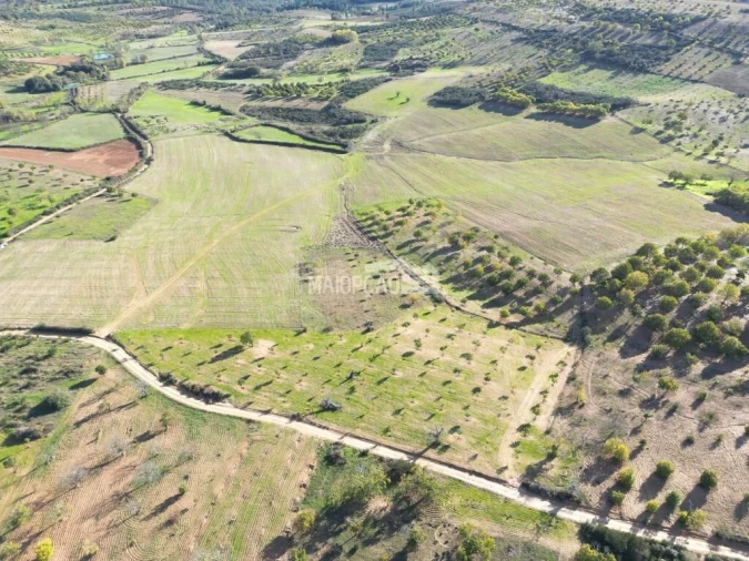 Terreno para Venda em Parada e Faílde Foto 2