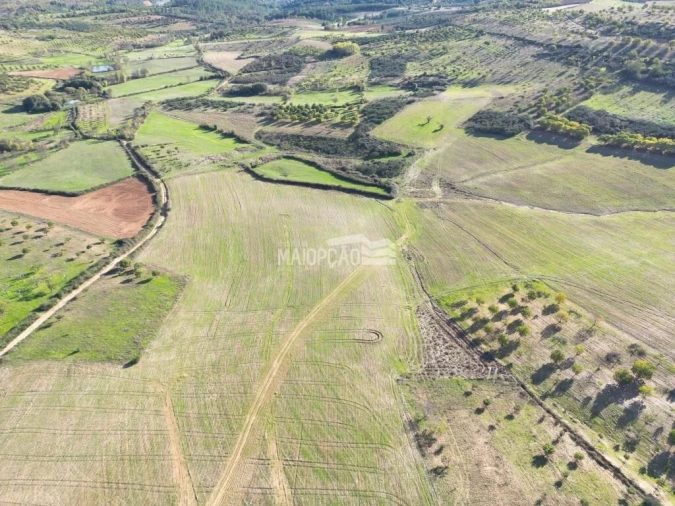 Terreno para Venda em Parada e Faílde Foto 4