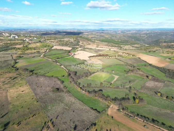 Terreno para Venda em Parada e Faílde Foto 5