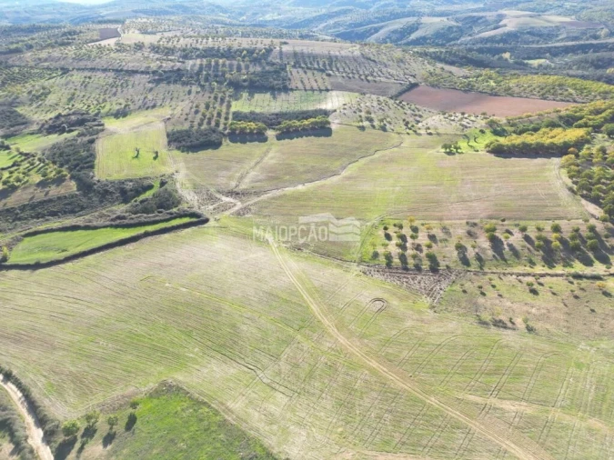 Terreno para Venda em Parada e Faílde Foto 6