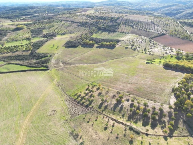 Terreno para Venda em Parada e Faílde Foto 7