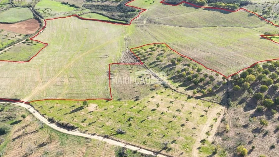 Terreno para Venda em Parada e Faílde