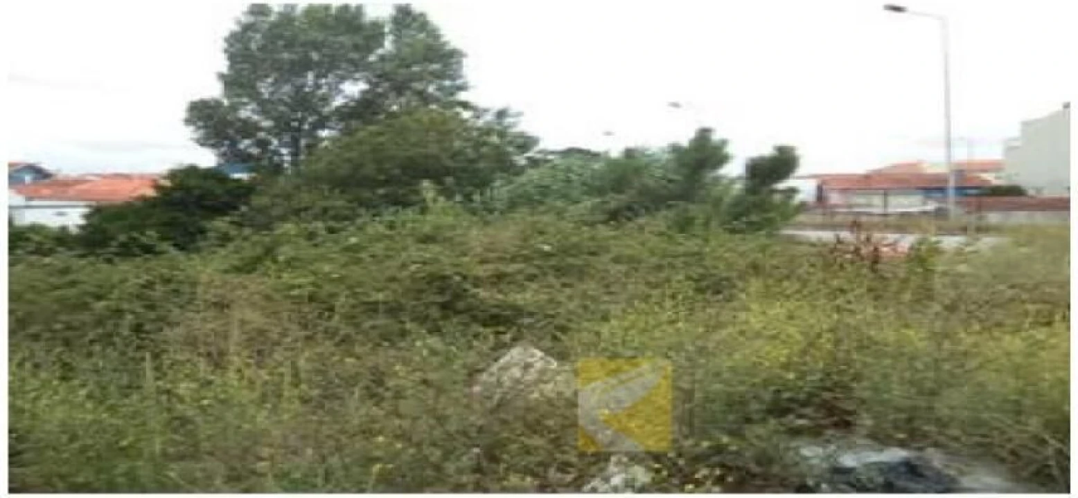 Terreno para Venda em Santa Marinha e São Pedro da Afurada Foto 3