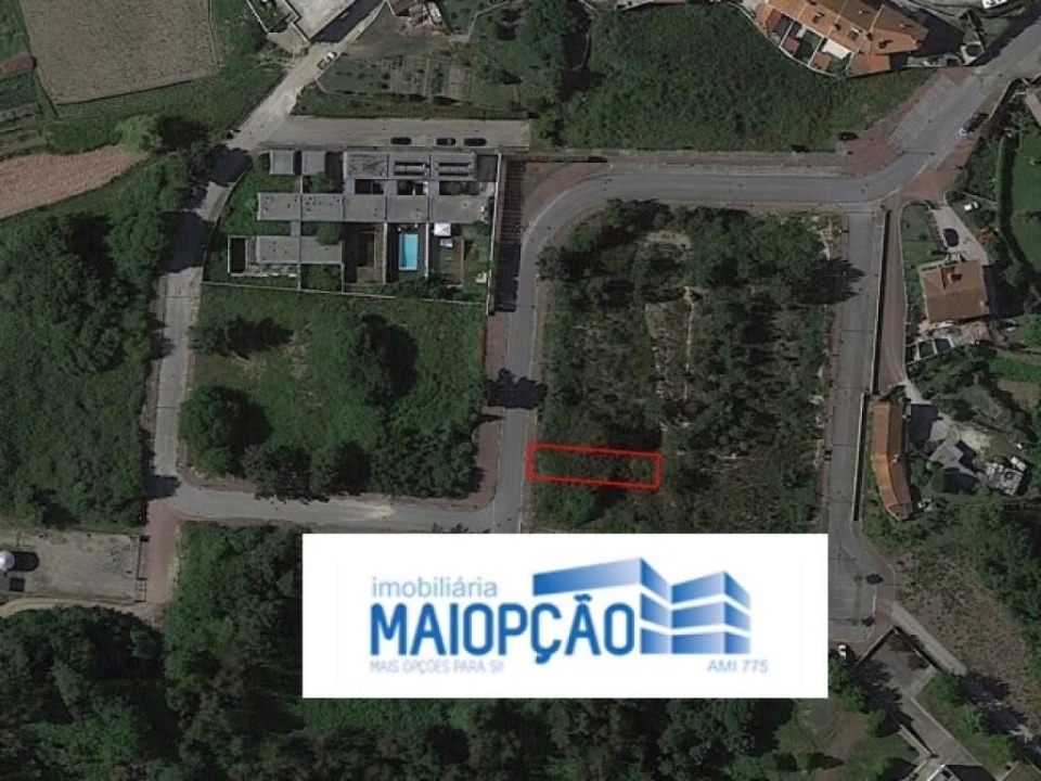 Terreno para Venda em Pinheiro da Bemposta, Travanca e Palmaz Foto 4