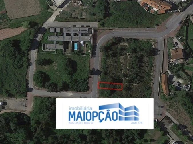Terreno para Venda em Pinheiro da Bemposta, Travanca e Palmaz Foto 4