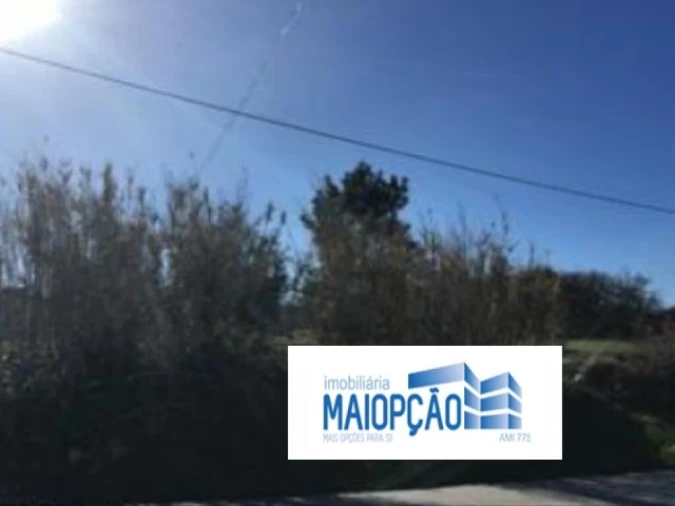 Terreno para Venda em Cantanhede e Pocariça Foto 2