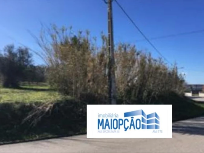 Terreno para Venda em Cantanhede e Pocariça Foto 3