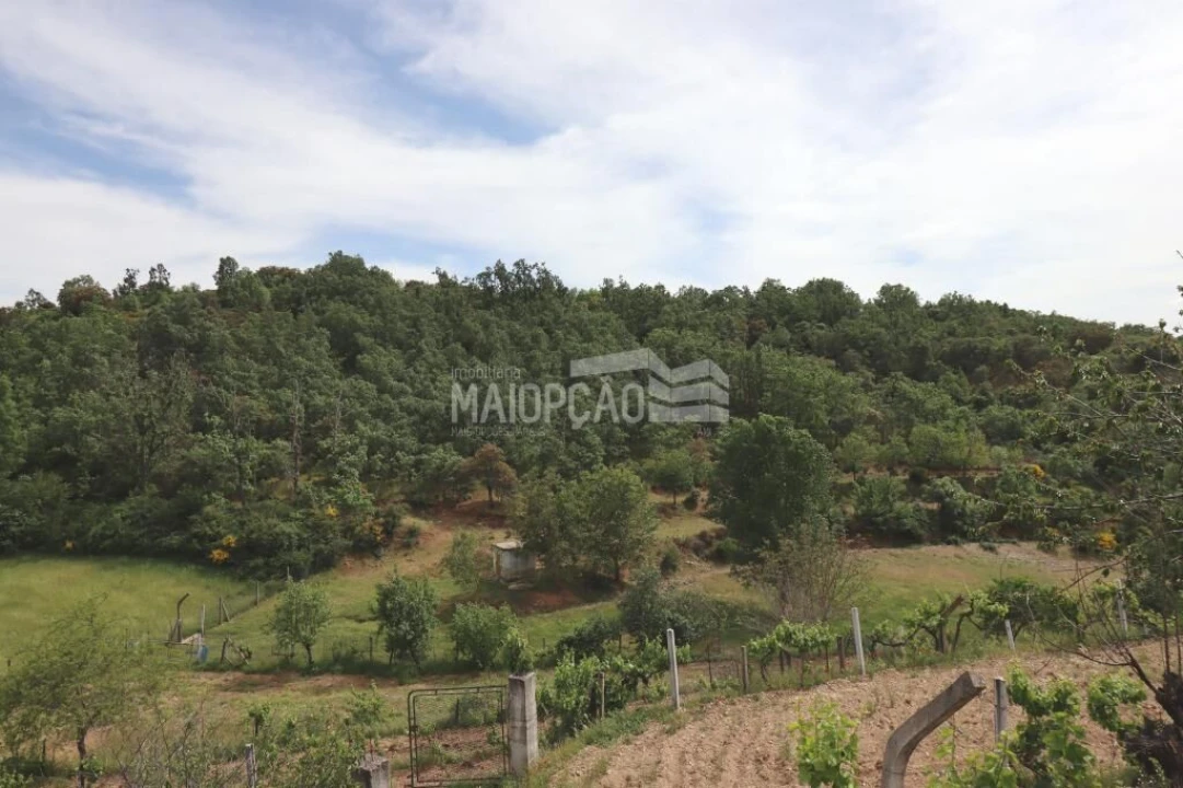 Quinta T0 para Venda em Aveleda e Rio de Onor Foto 12