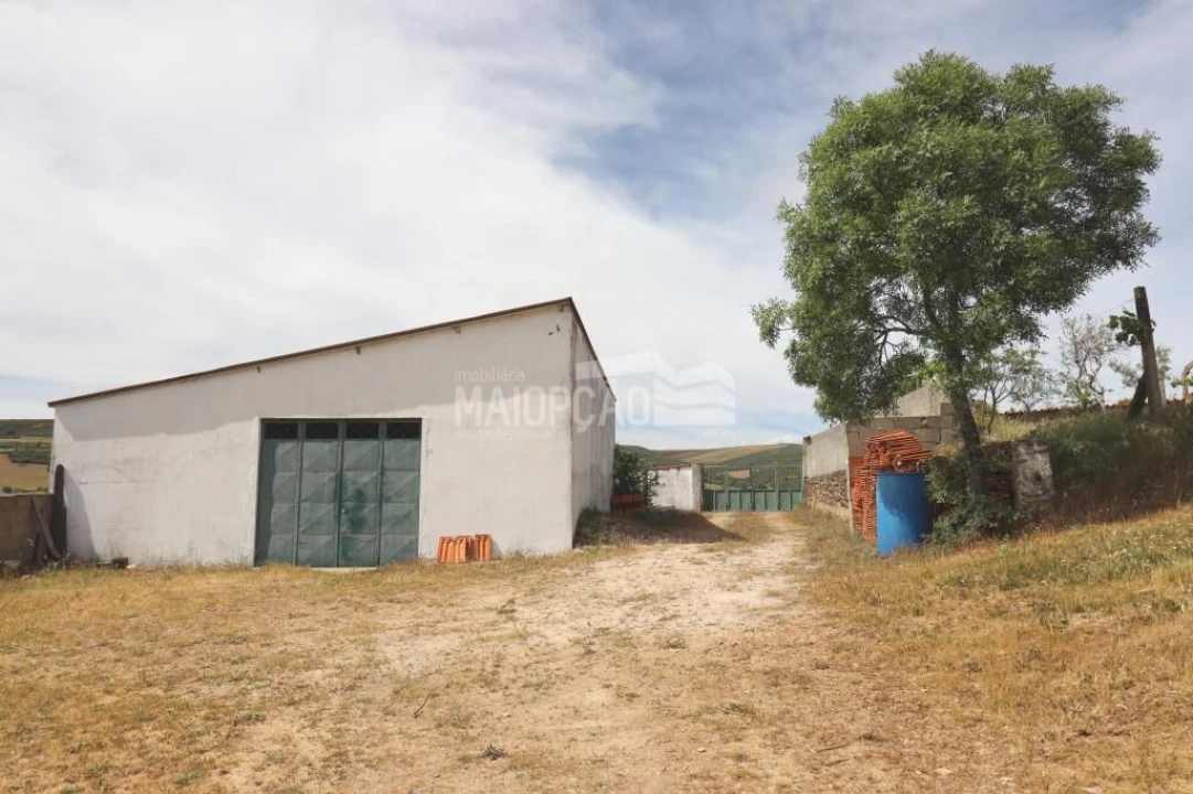 Quinta T0 para Venda em Aveleda e Rio de Onor Foto 19