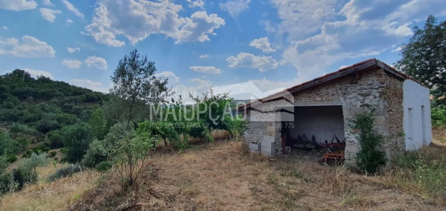 Quinta T0 para Venda em Aveleda e Rio de Onor Foto 3
