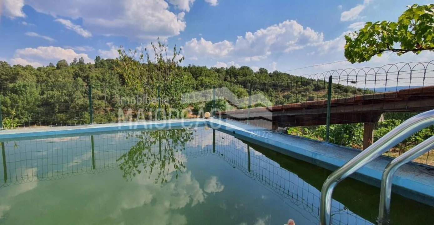 Quinta T0 para Venda em Aveleda e Rio de Onor Foto 7