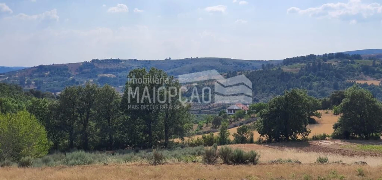 Quinta T0 para Venda em Aveleda e Rio de Onor Foto 8