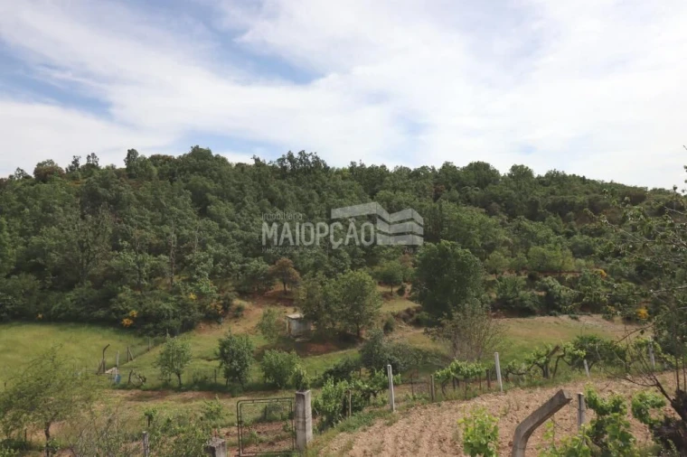 Quinta T0 para Venda em Aveleda e Rio de Onor Foto 12