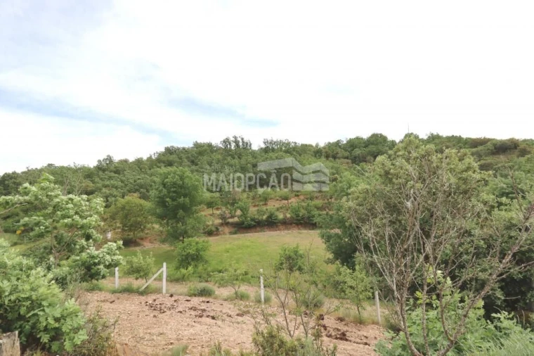 Quinta T0 para Venda em Aveleda e Rio de Onor Foto 16