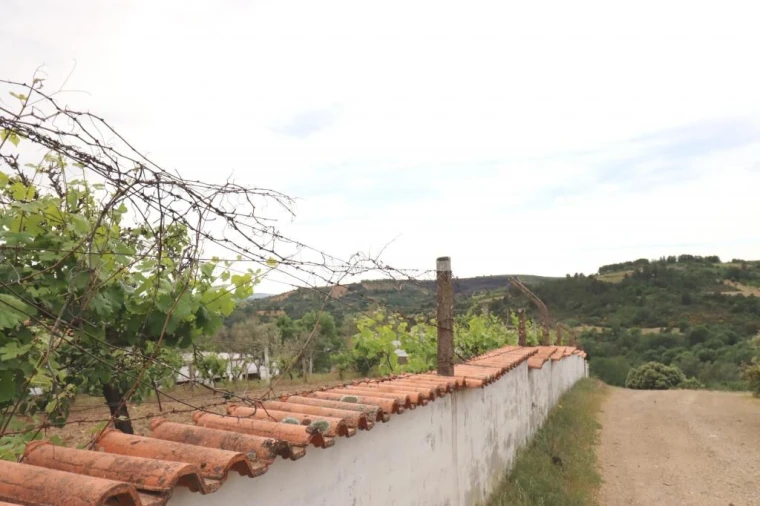 Quinta T0 para Venda em Aveleda e Rio de Onor Foto 18