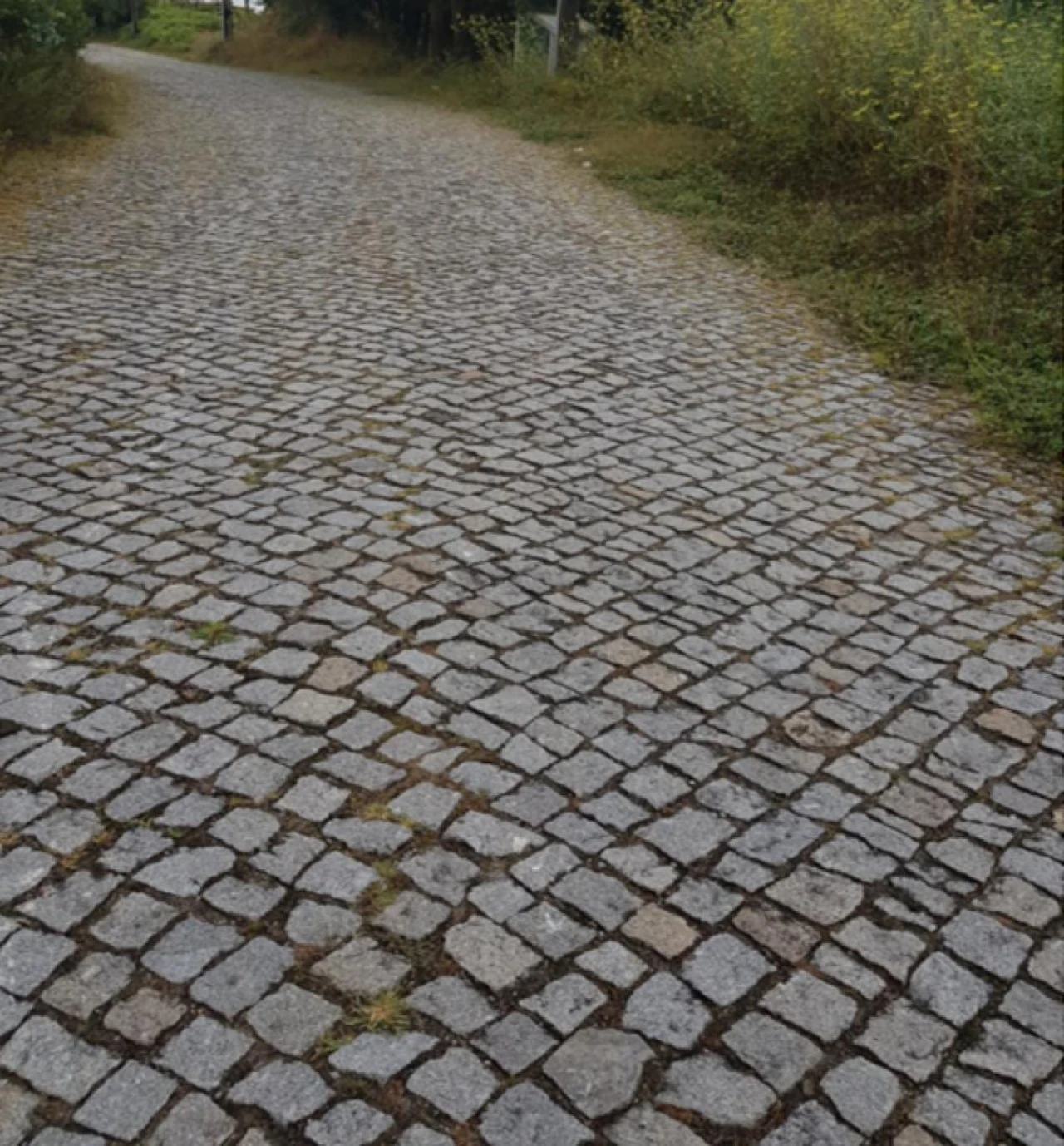 Terreno para Venda em Lustosa e Barrosas (Santo Estêvão) Foto 5