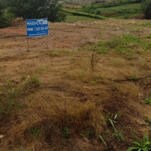 Terreno para Venda em Lustosa e Barrosas (Santo Estêvão) Foto 3