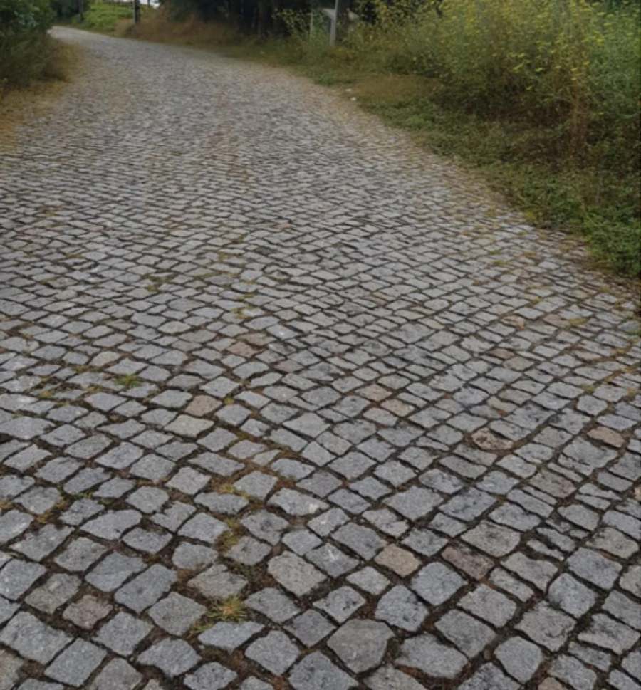 Terreno para Venda em Lustosa e Barrosas (Santo Estêvão) Foto 5