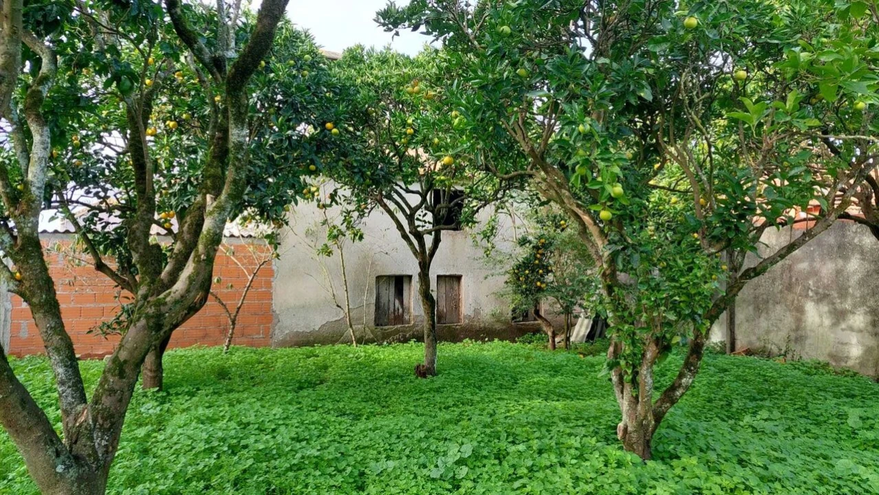 Moradia T2 para Venda em Monte Real e Carvide Foto 5