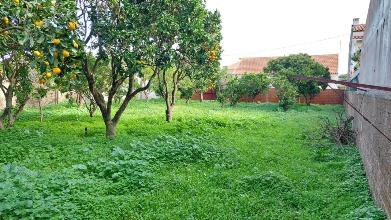 Moradia T2 para Venda em Monte Real e Carvide Foto 6