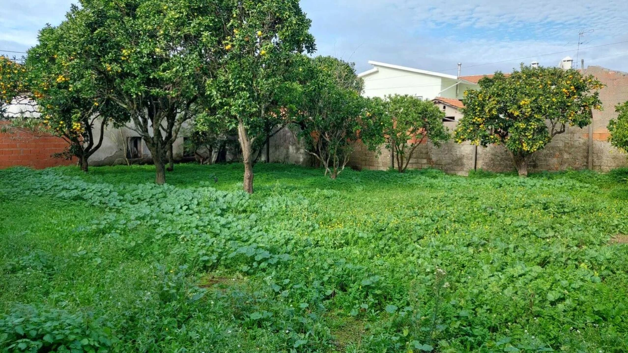 Moradia T2 para Venda em Monte Real e Carvide Foto 7