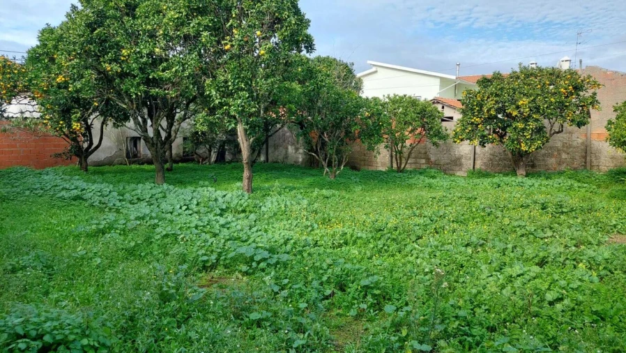 Moradia T2 para Venda em Monte Real e Carvide Foto 7