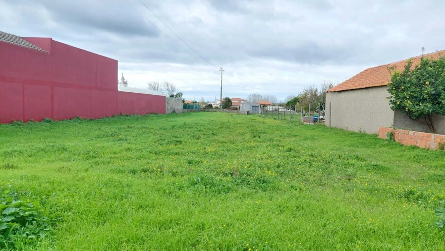 Terreno para Venda em Monte Real e Carvide Foto 4