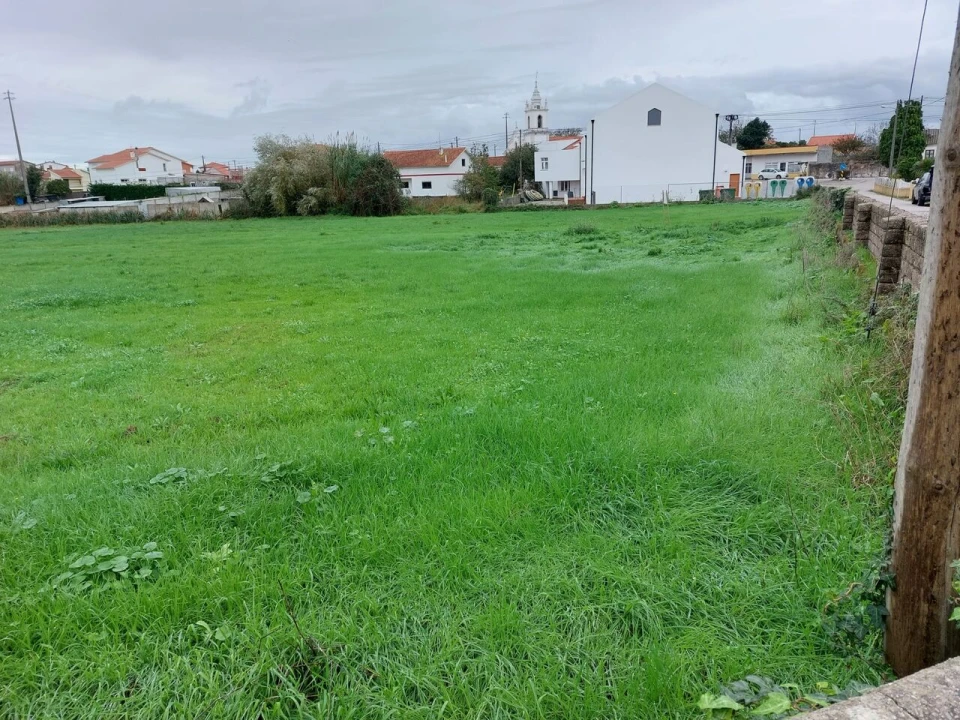 Terreno para Venda em Monte Real e Carvide Foto 4