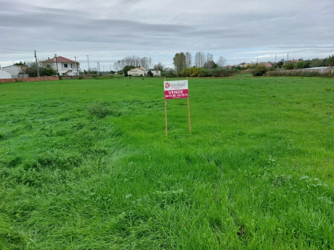 Terreno para Venda em Monte Real e Carvide Foto 3