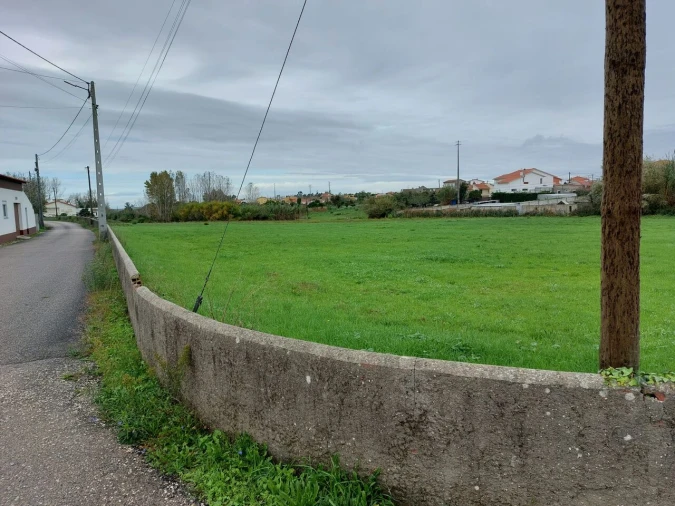 Terreno para Venda em Monte Real e Carvide Foto 6