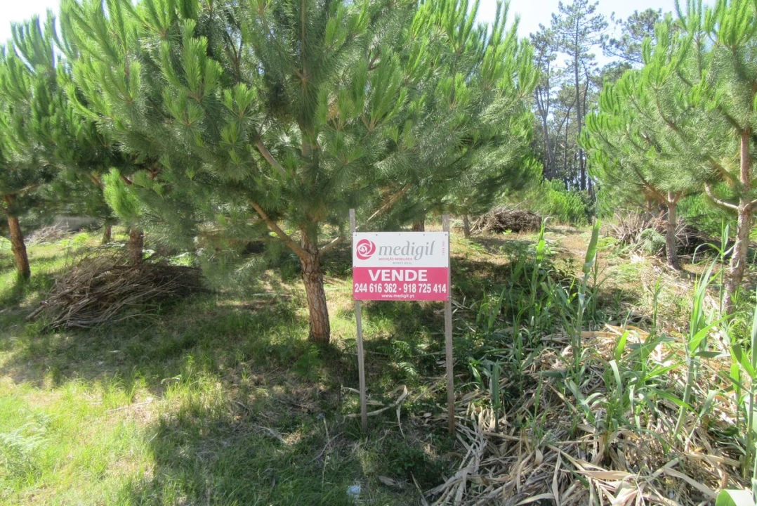 Terreno para Venda em Monte Real e Carvide Foto 2