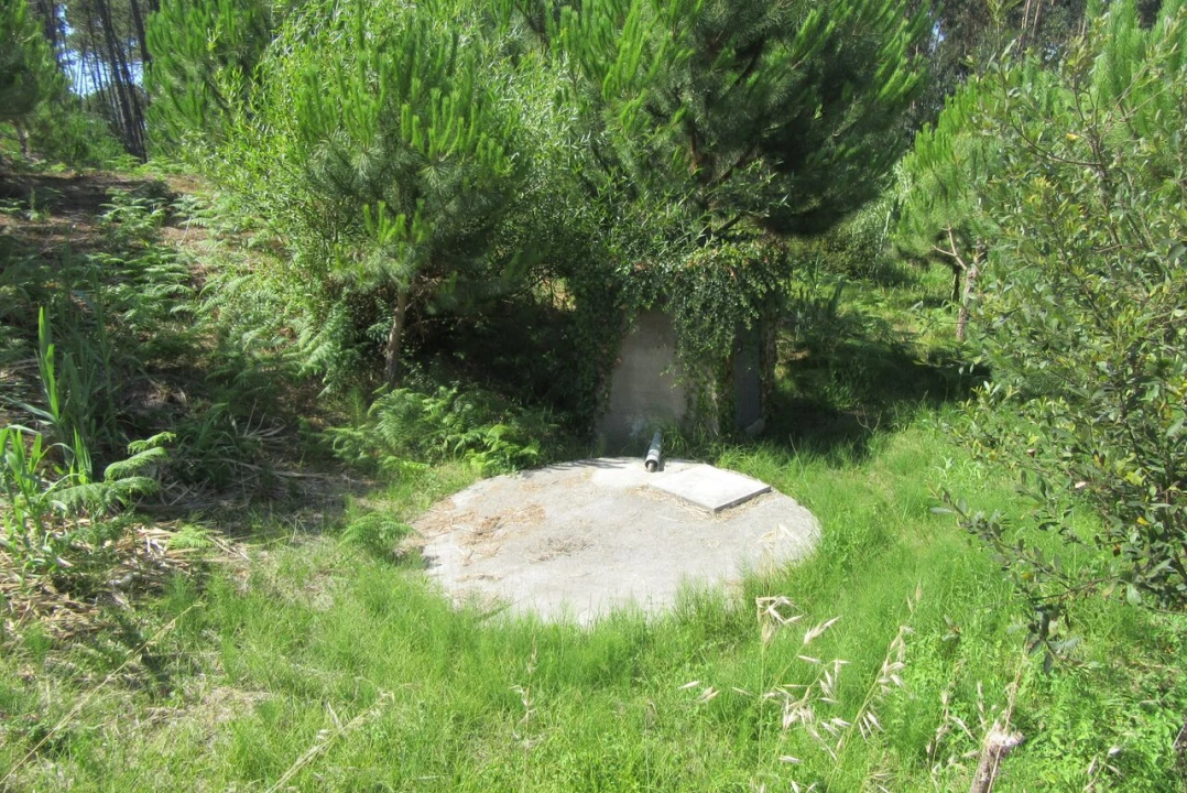 Terreno para Venda em Monte Real e Carvide Foto 3