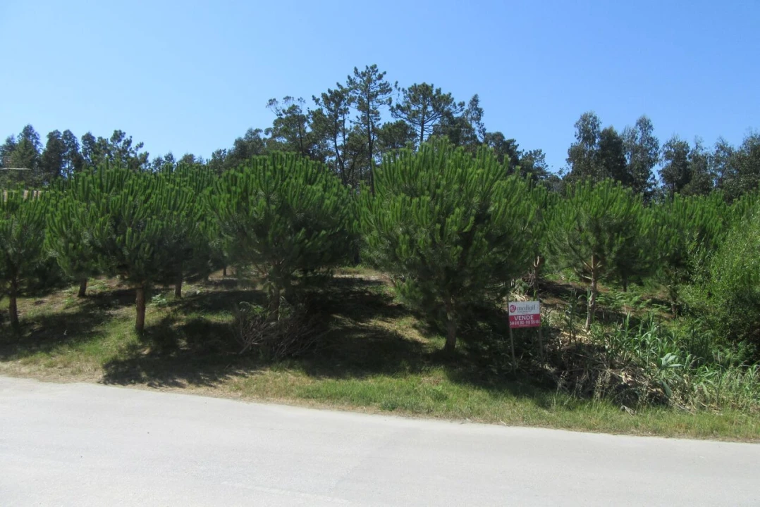 Terreno para Venda em Monte Real e Carvide Foto 5