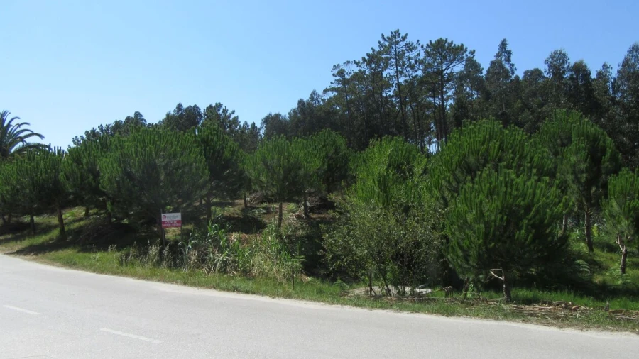 Terreno para Venda em Monte Real e Carvide